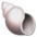 🐚