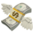 💸